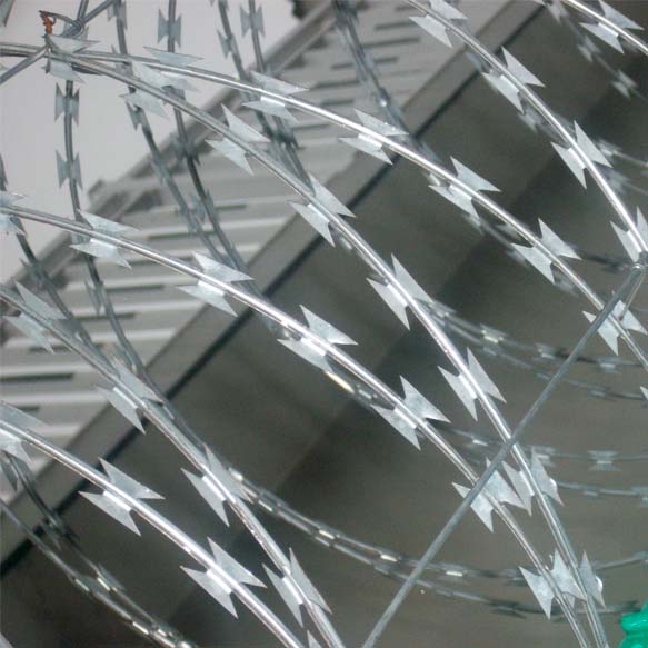 監獄刺繩圍墻網  圍墻防爬刺刀網詳細介紹圖片1