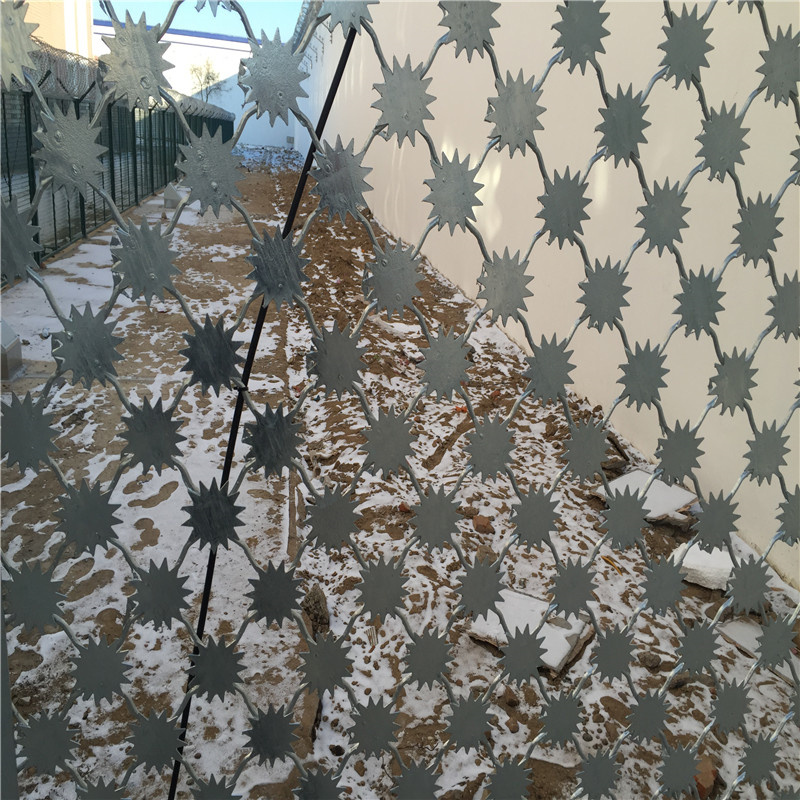 梅花刺片隔離網圖片1