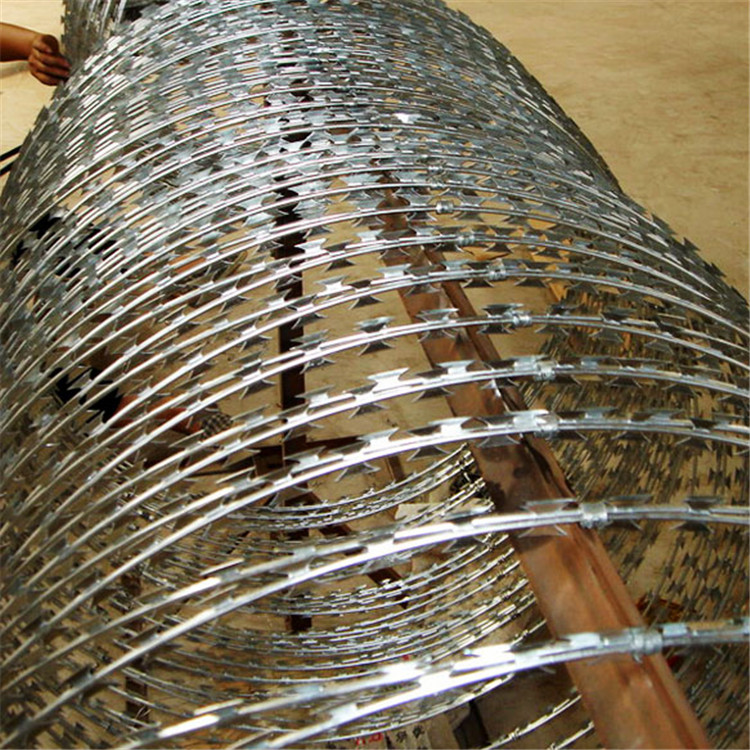 監獄刀刺網圖片1