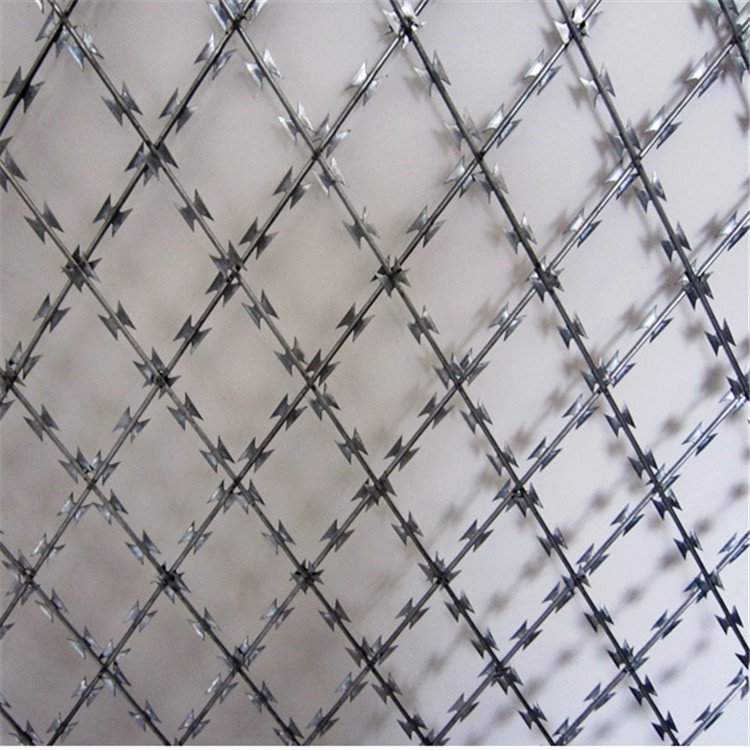 監獄刀刺網圖片4