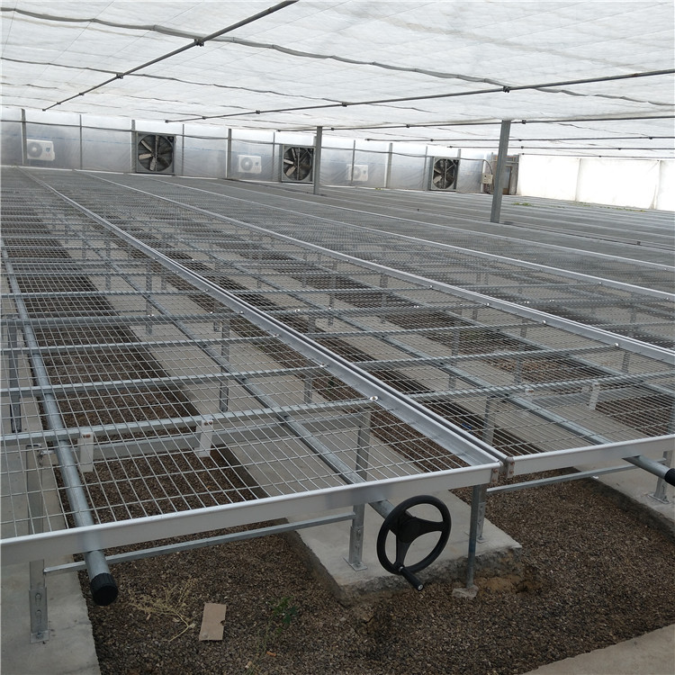 苗床網片圖片3 苗床網片圖片3