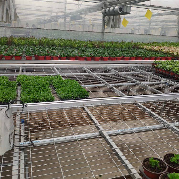 苗床網片圖片4 苗床網片圖片4