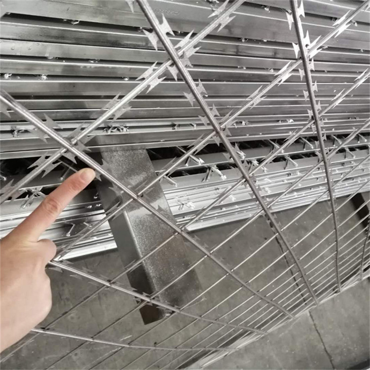 監獄刀片鋼網墻圖片2