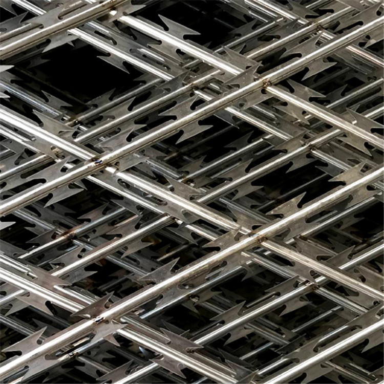 監獄刀片鋼網墻圖片3