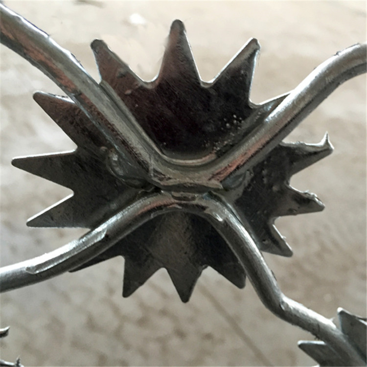 監獄梅花刺圍網圖片3