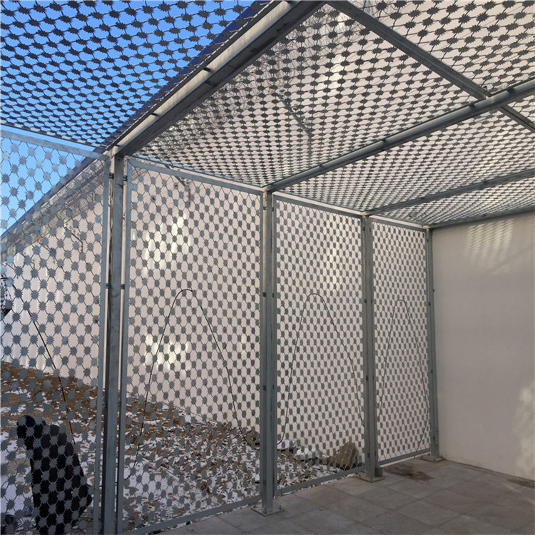 監獄梅花刺圍網圖片4