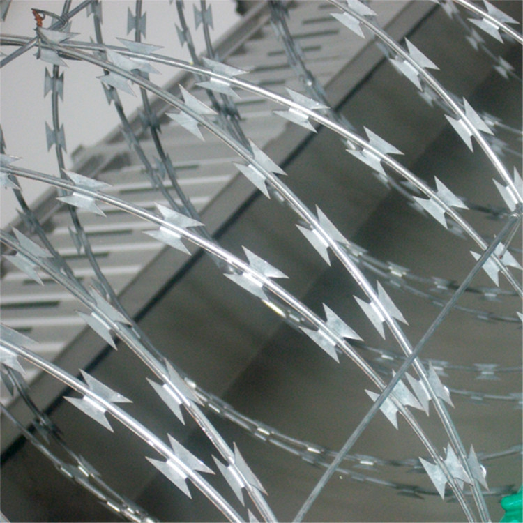 鍍鋅滾刀網圖片3