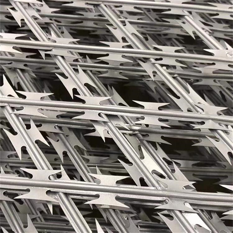 監獄刀片鋼網墻圖片4